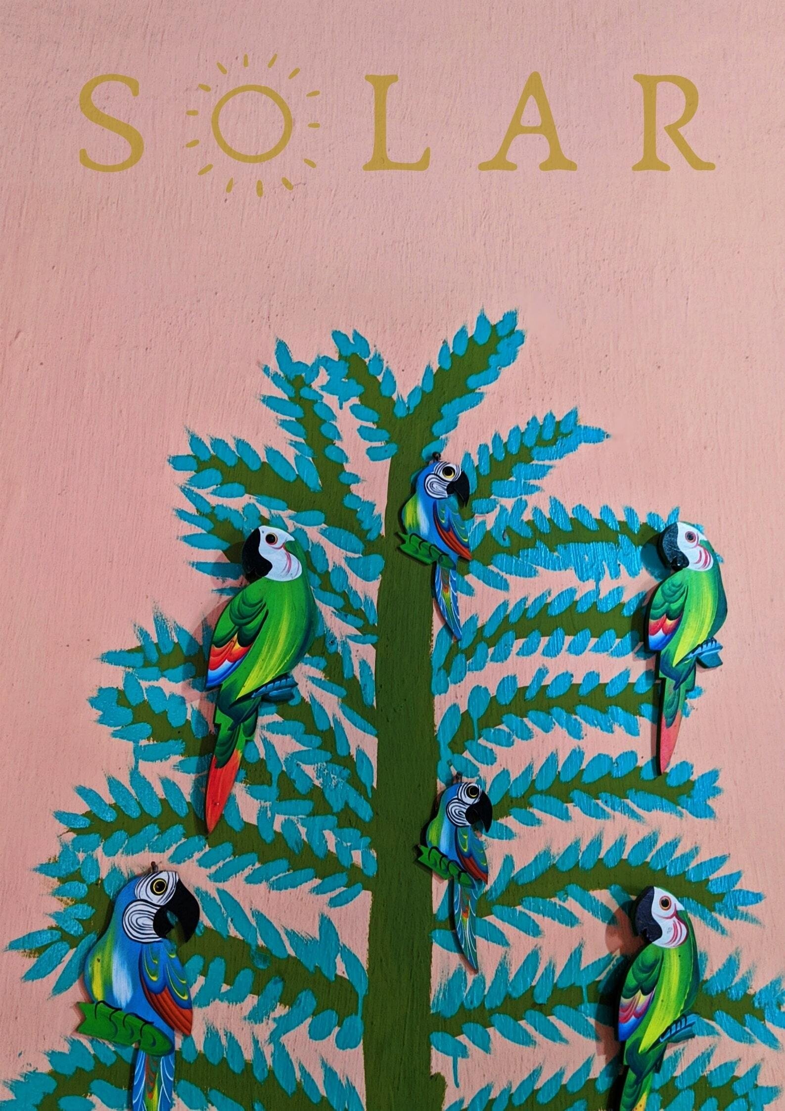Poster de Solar