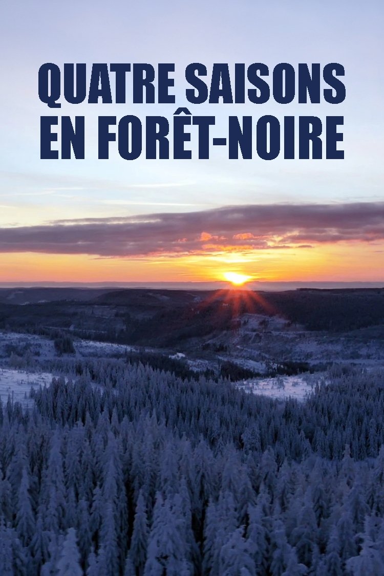 Poster de Der Schwarzwald rund ums Jahr