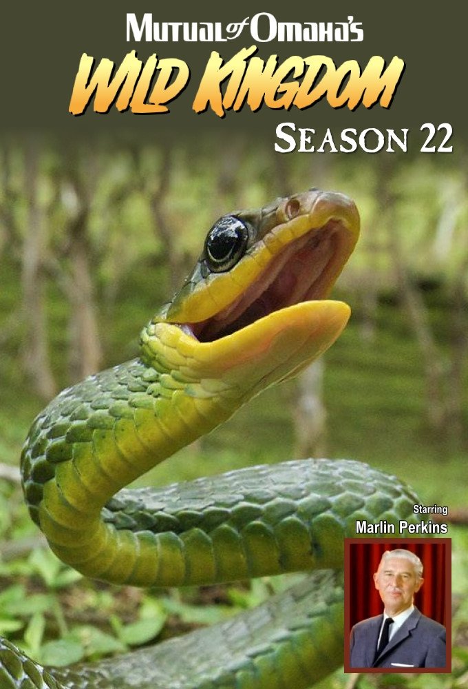 Poster de Temporada 22