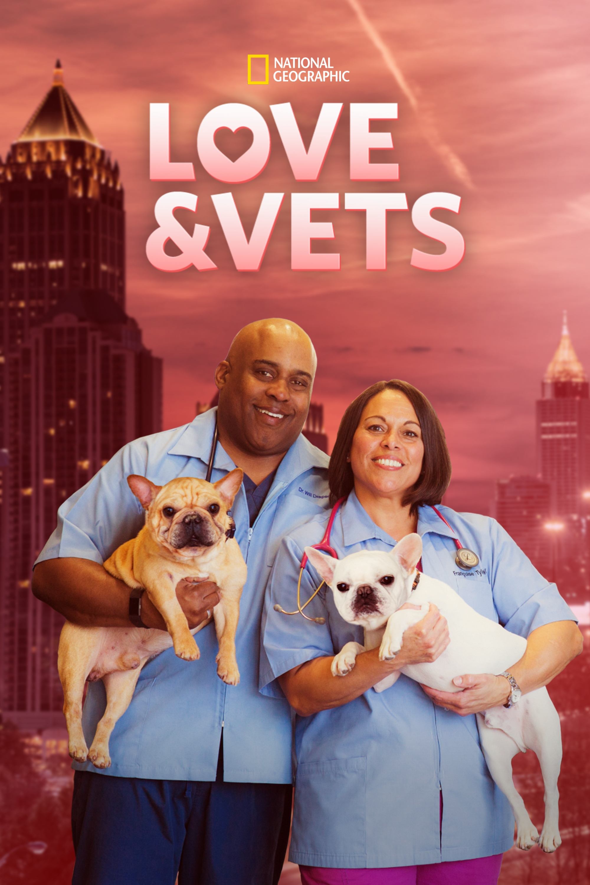 Poster de Love & Vets