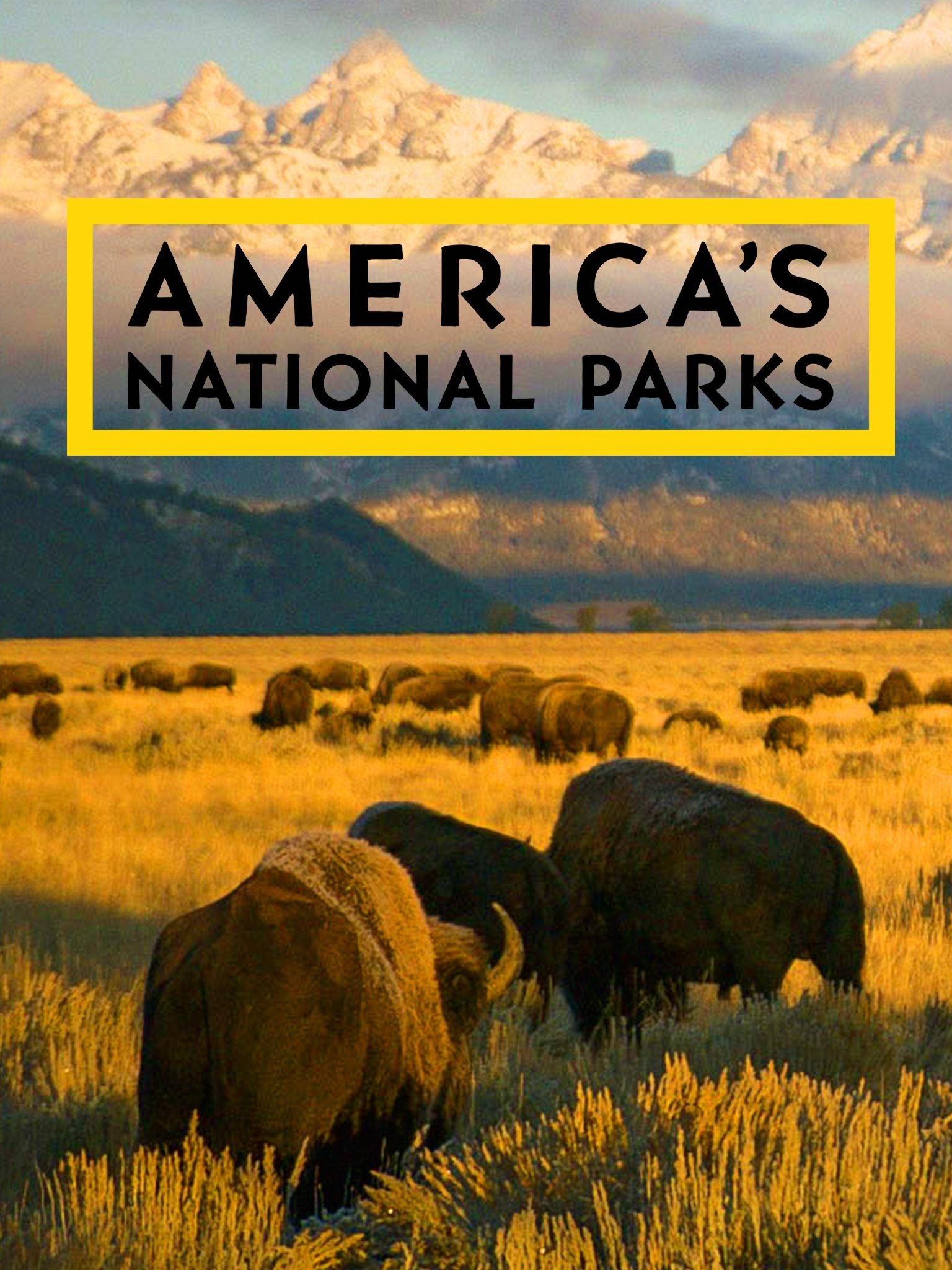 Poster de Au coeur des parcs nationaux d'Amérique