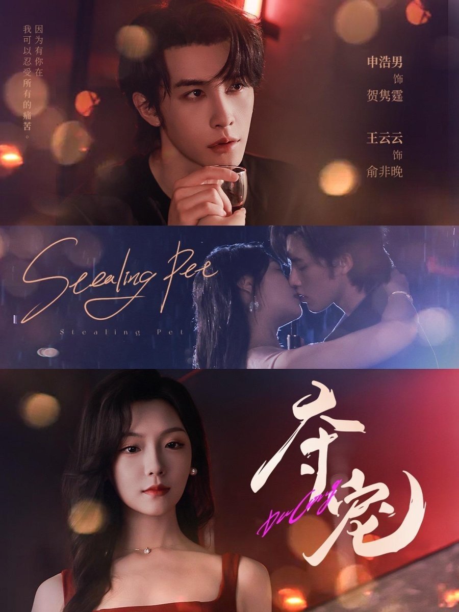 Poster de 夺宠