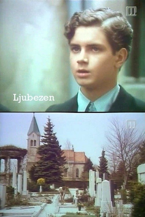 Poster de Ljubezen