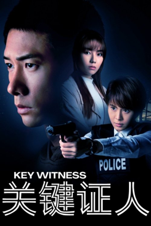 Poster de 关键证人