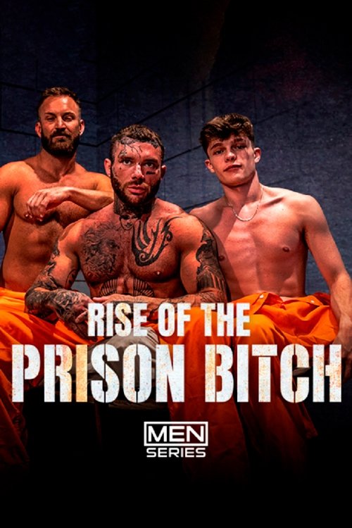 Poster de Rise Of The Prison Bitch
