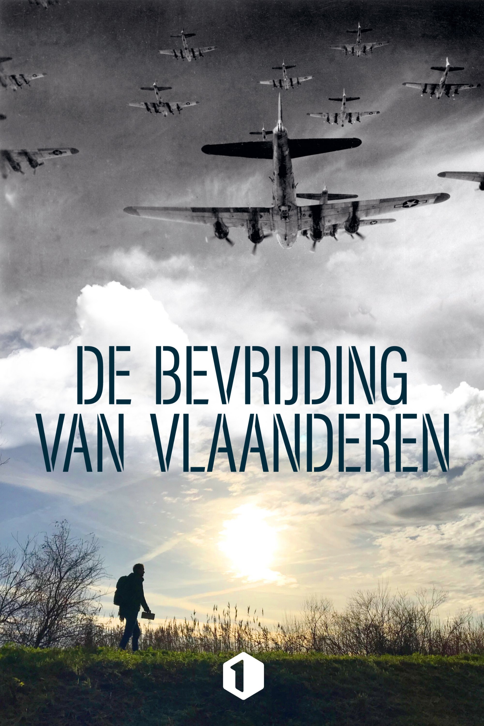 Poster de De bevrijding van Vlaanderen