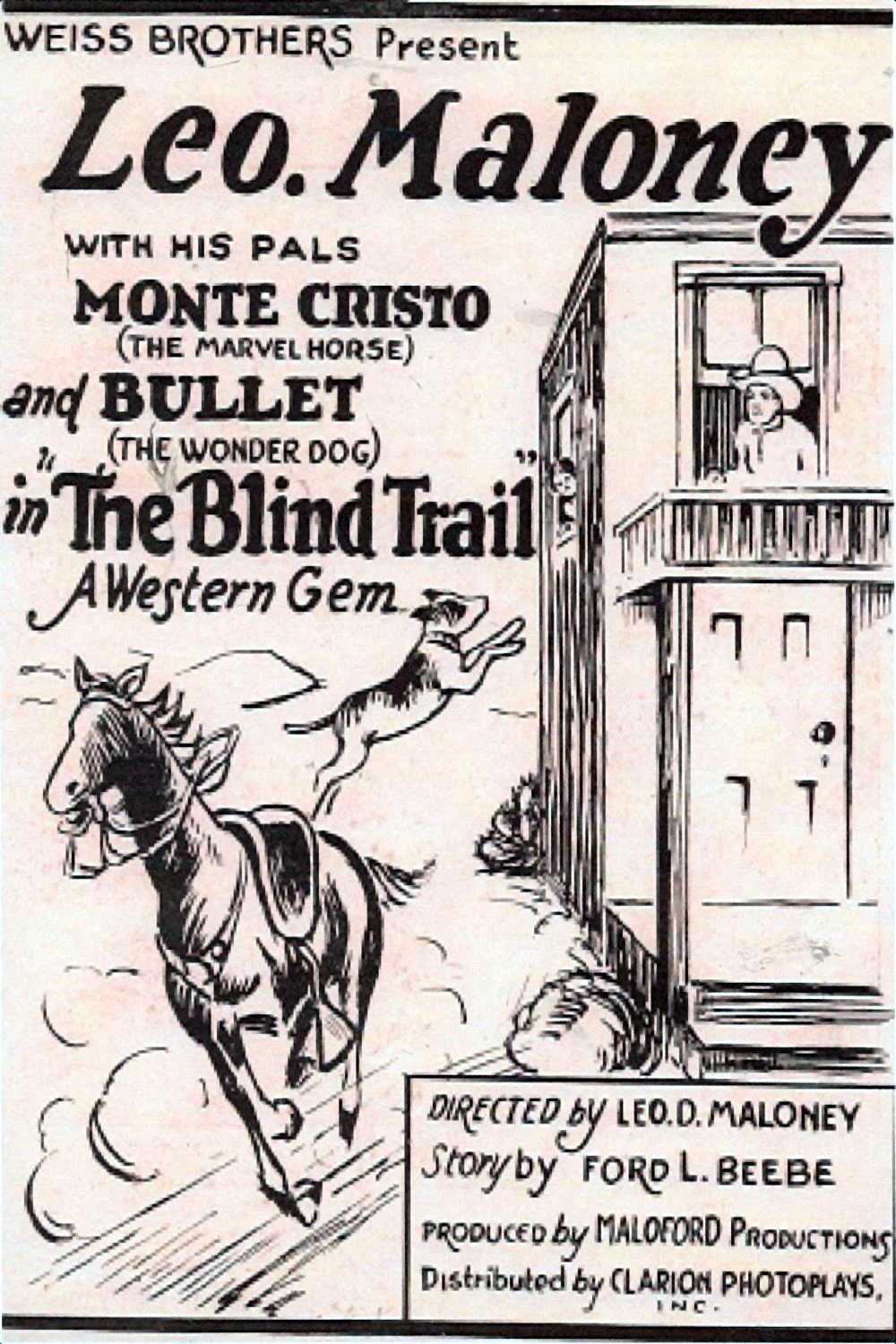 Poster de The Blind Trail