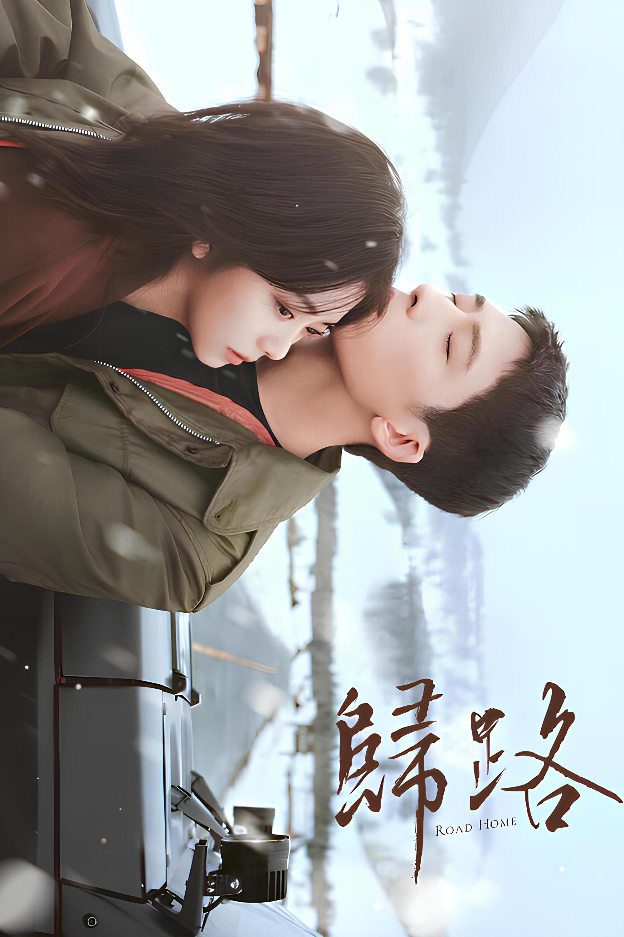 Poster de Road Home