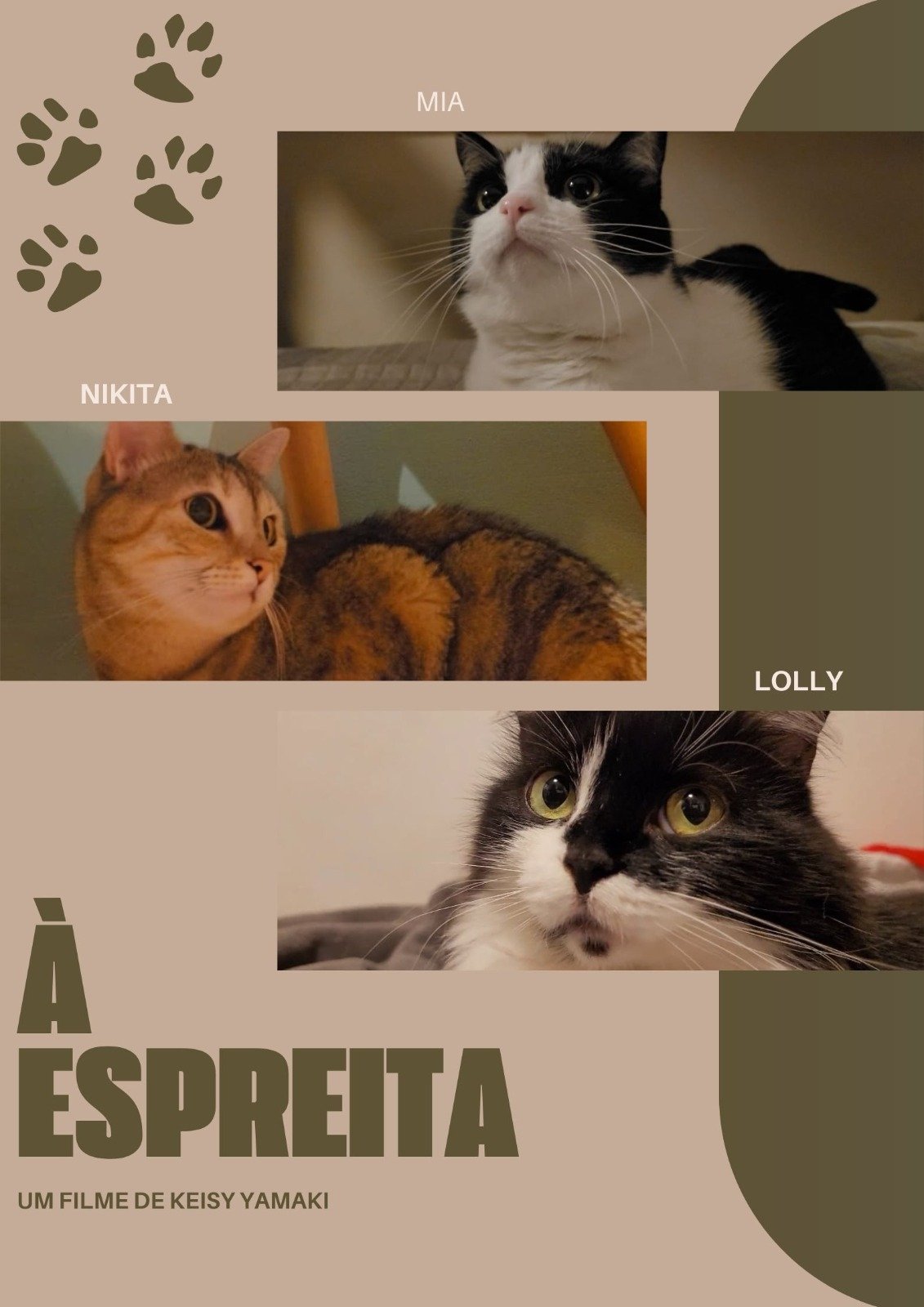 Poster de À Espreita
