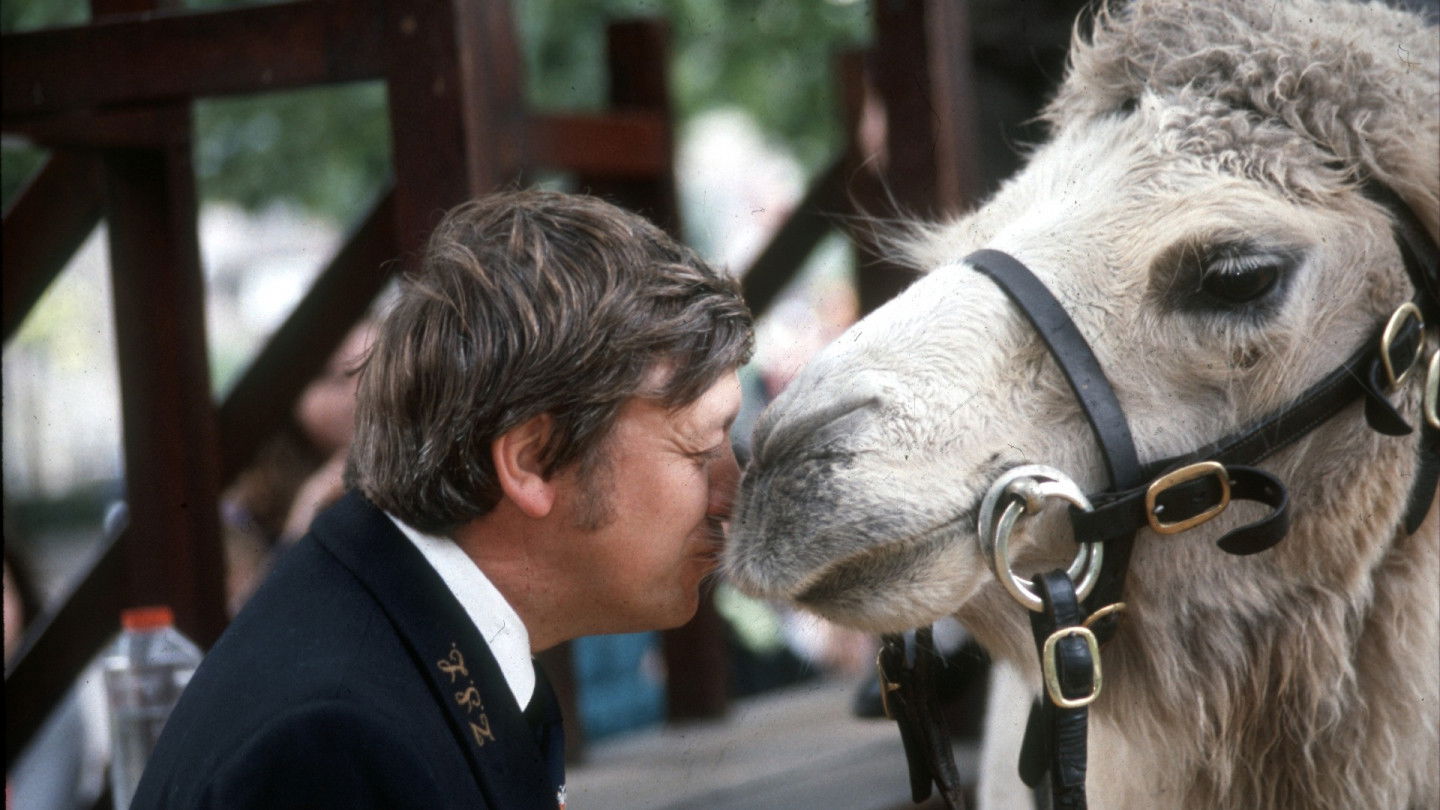 Survival of the Fittest