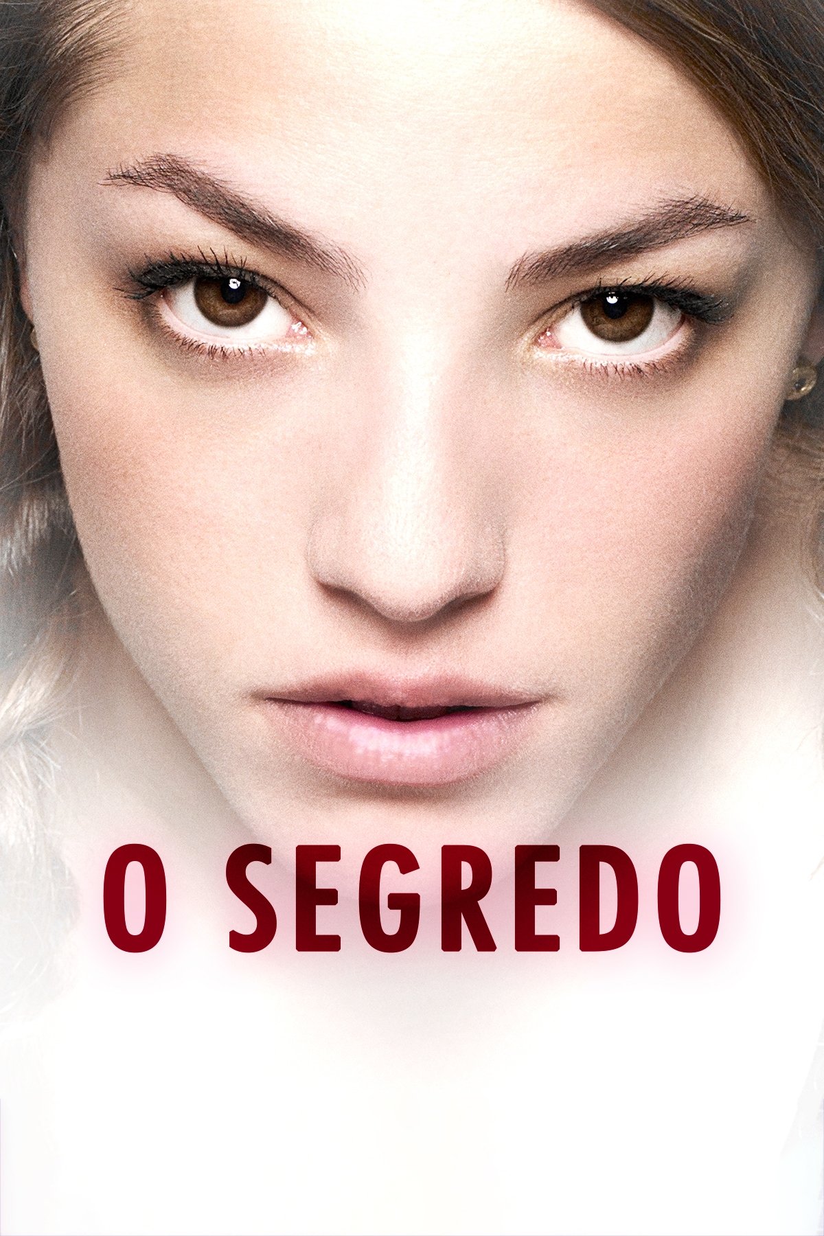 Poster de O Segredo