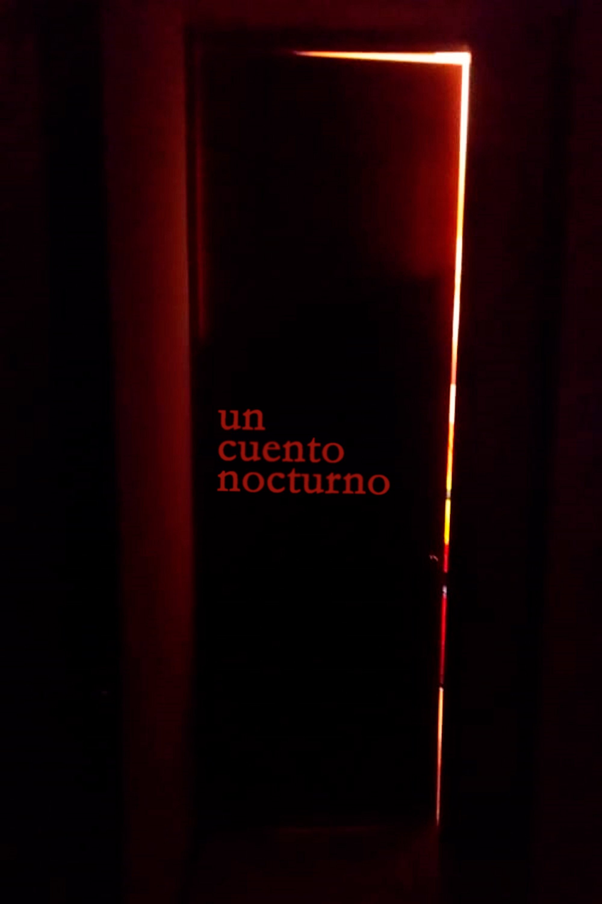 Poster de Un cuento nocturno
