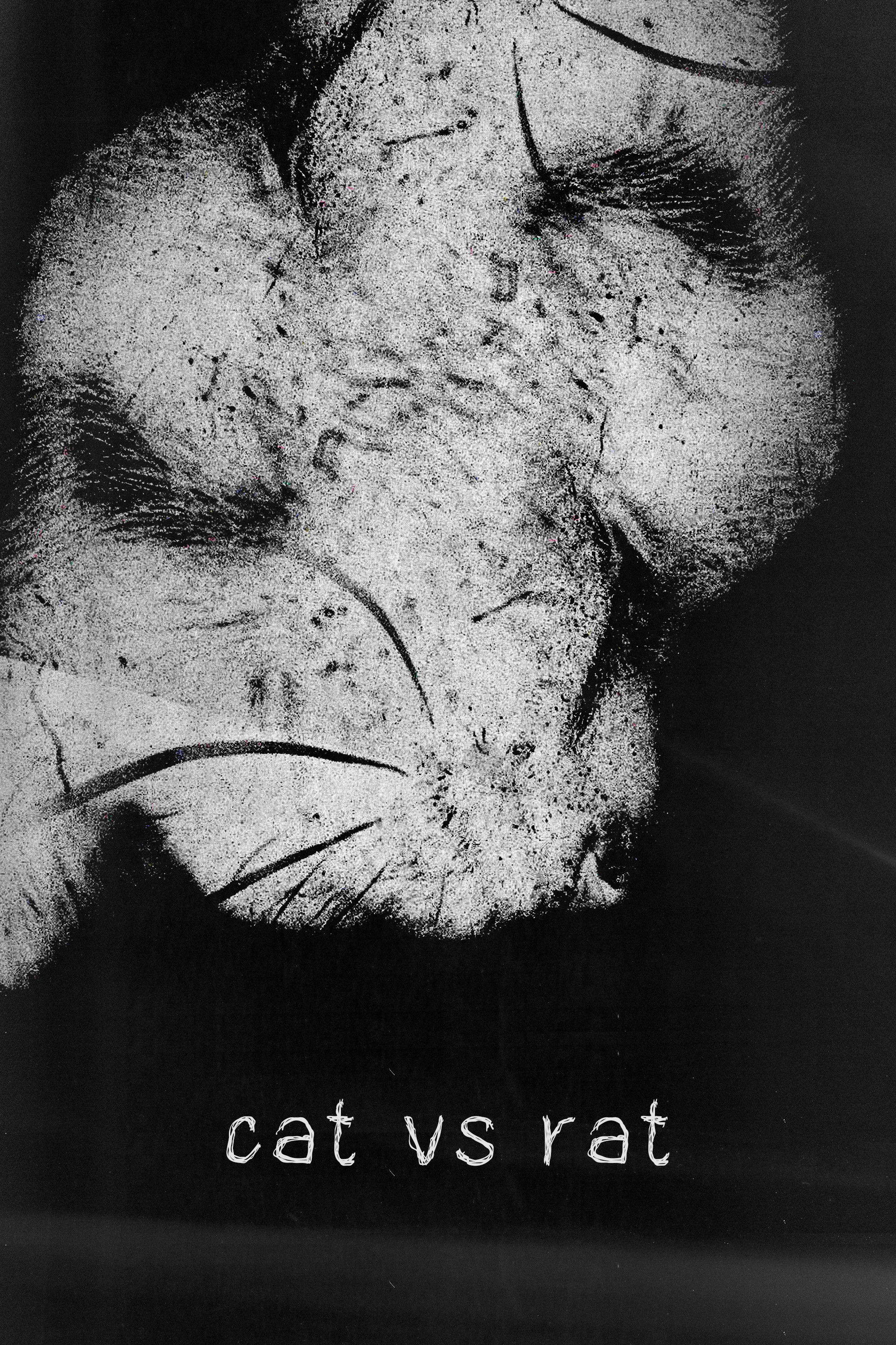 Poster de cat vs rat