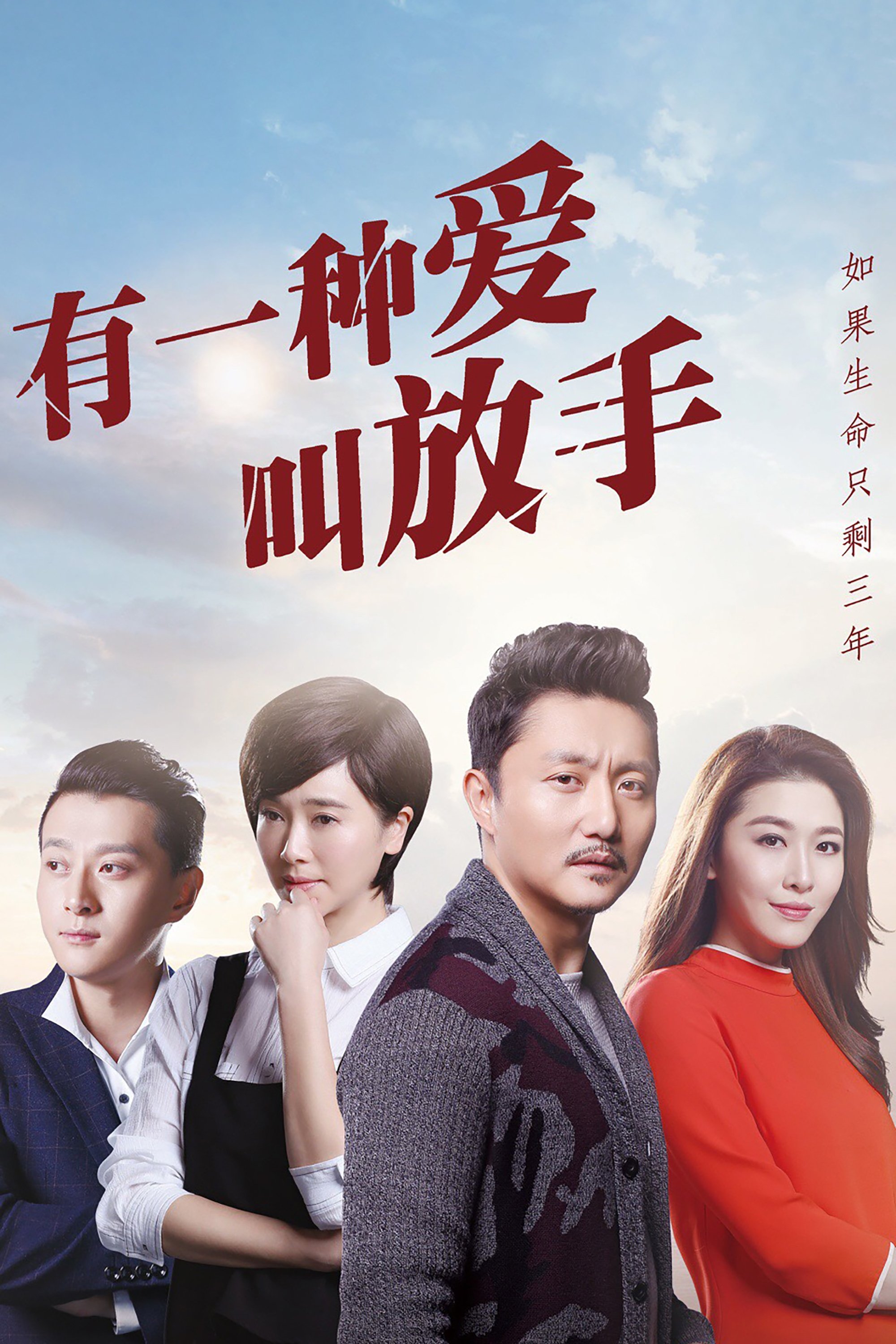 Poster de 有一种爱叫放手