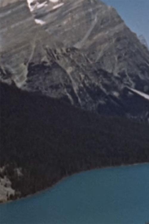 Poster de Wildlife in the Rockies