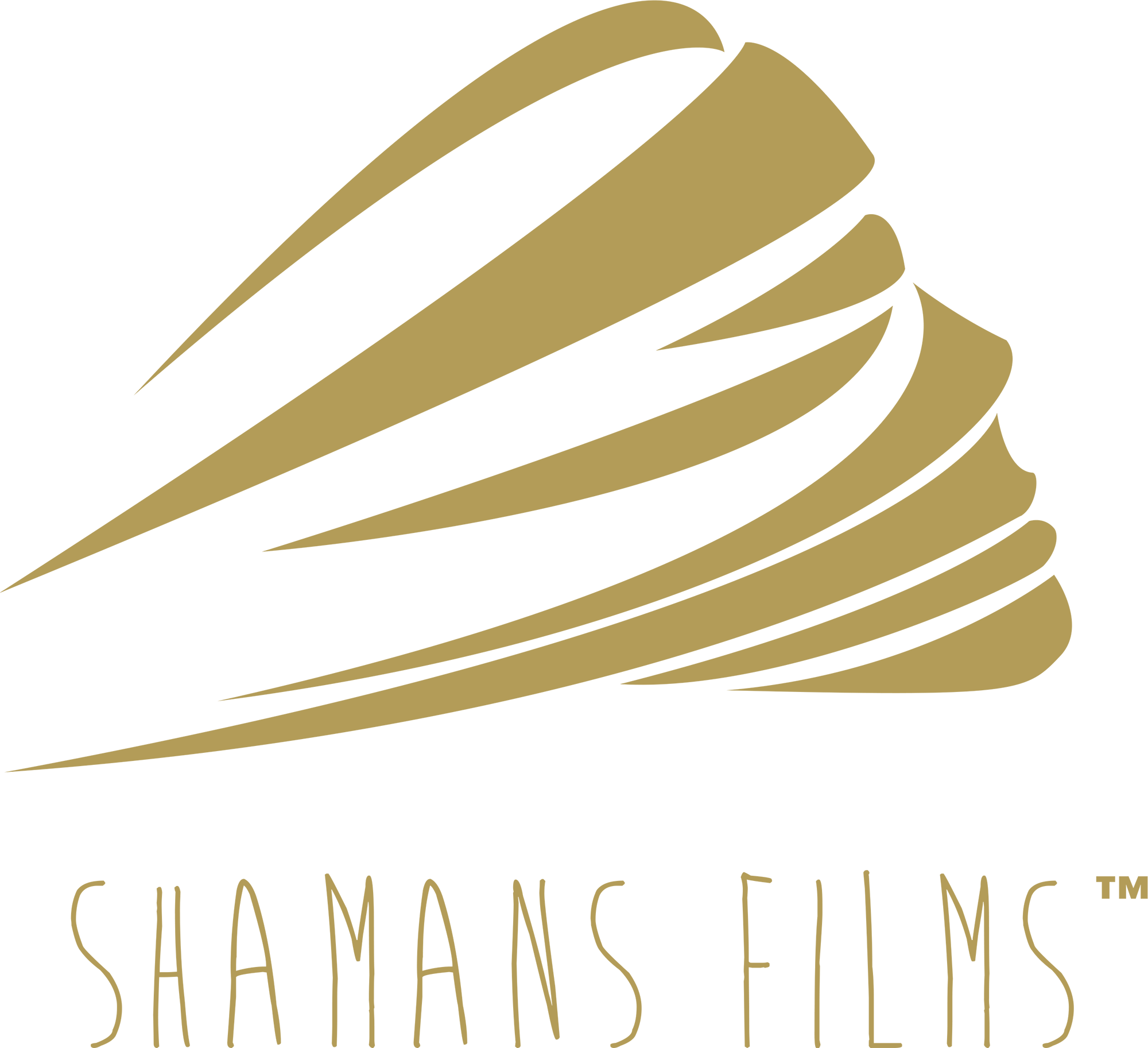 Shamans Films