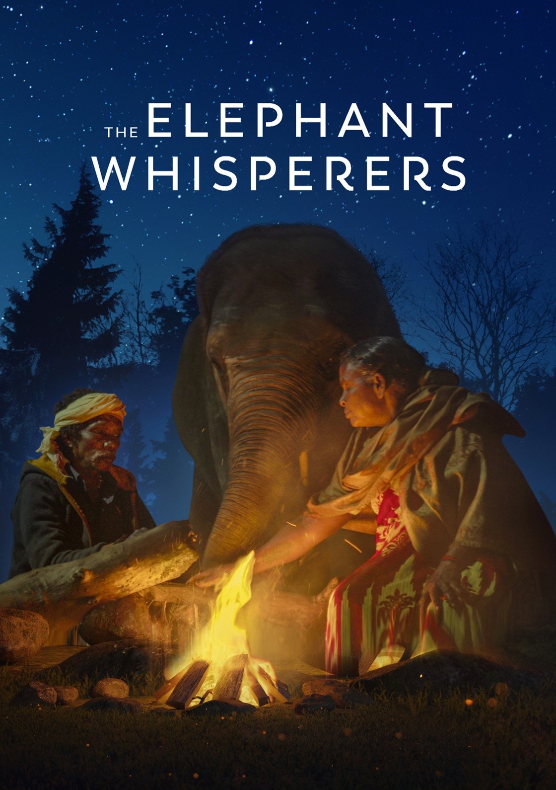Poster de Como Cuidar de um Bebê Elefante