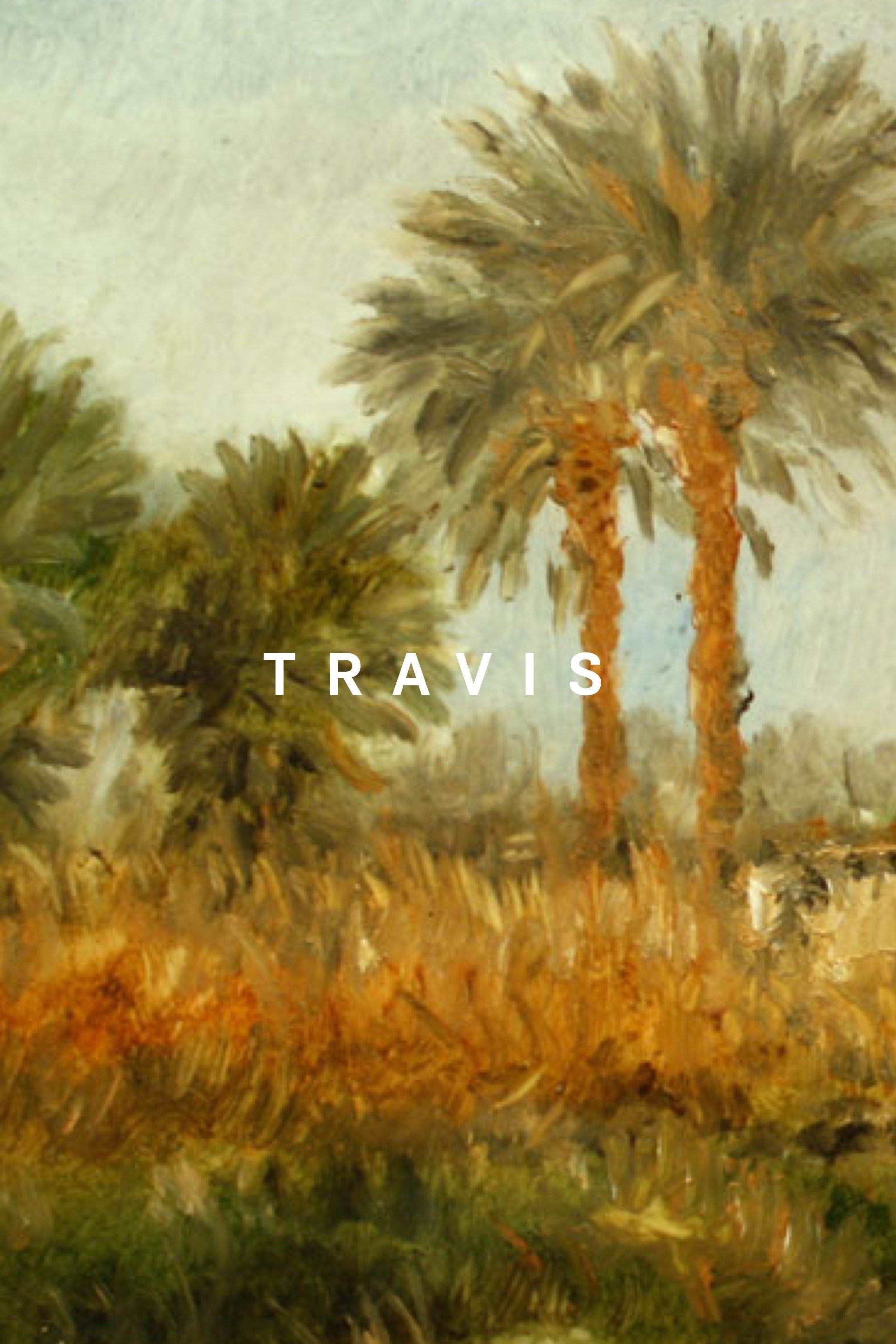 Poster de Travis
