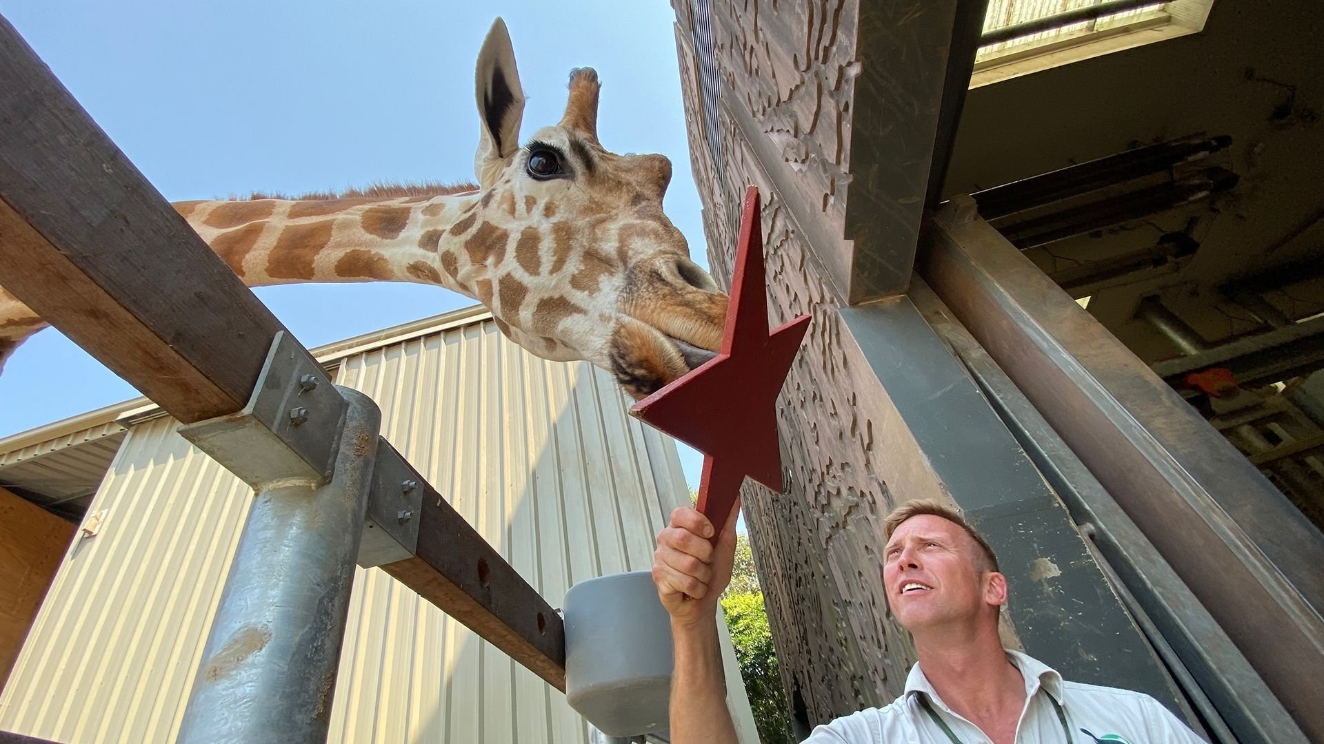 Secrets of the Zoo: Down Under 1×10