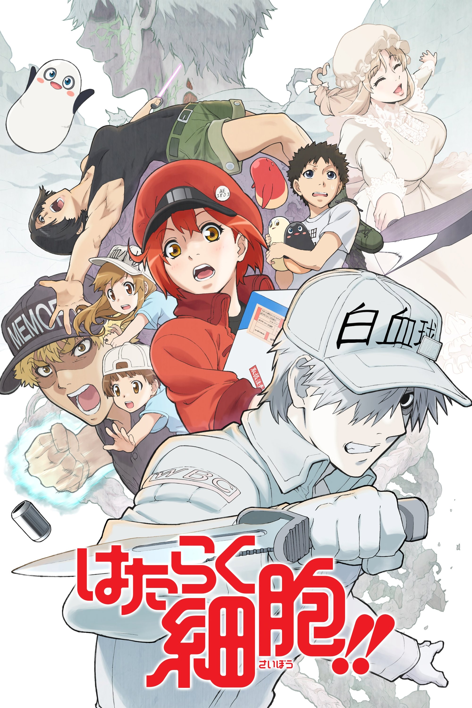 Poster de Hataraku Saibou!!