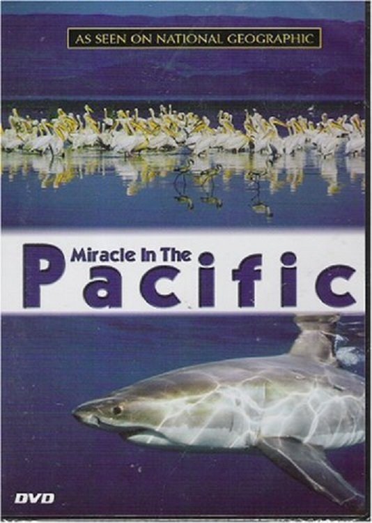 Poster de Miracle in the Pacific