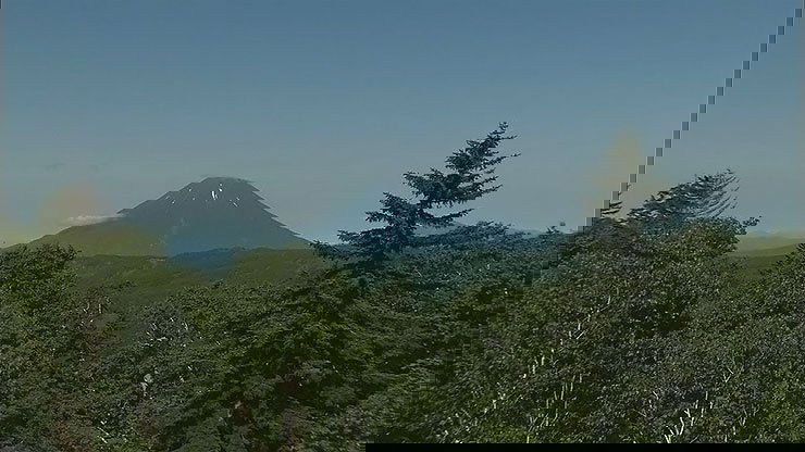 Summer on Mt. Yotei