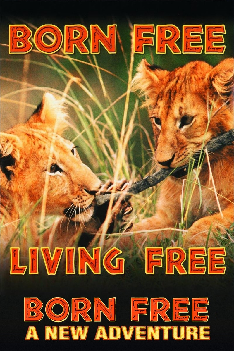 Poster of Born Free Collection