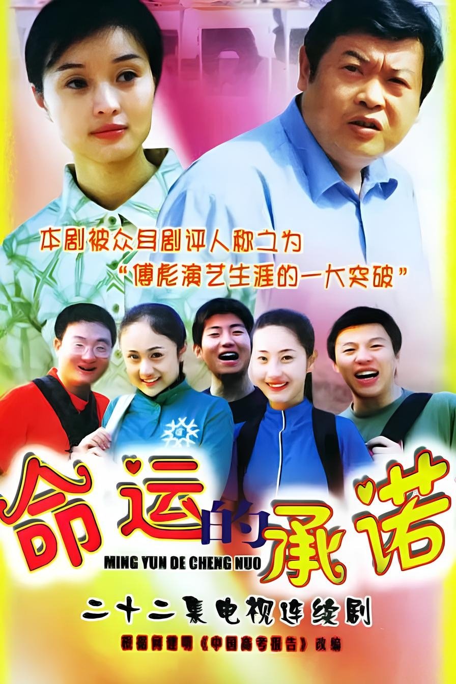 Poster de 命运的承诺