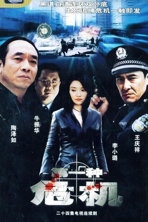 Poster de 第一种危机