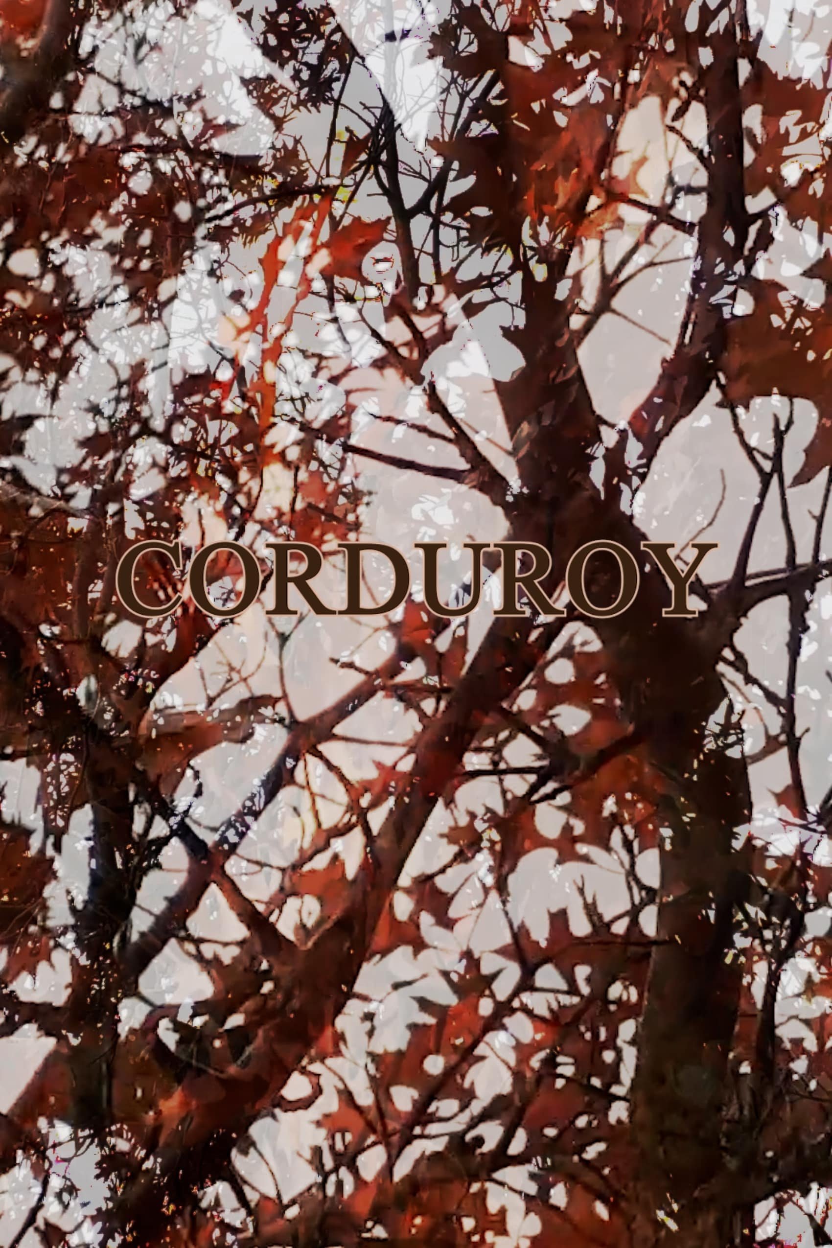 Poster de Corduroy
