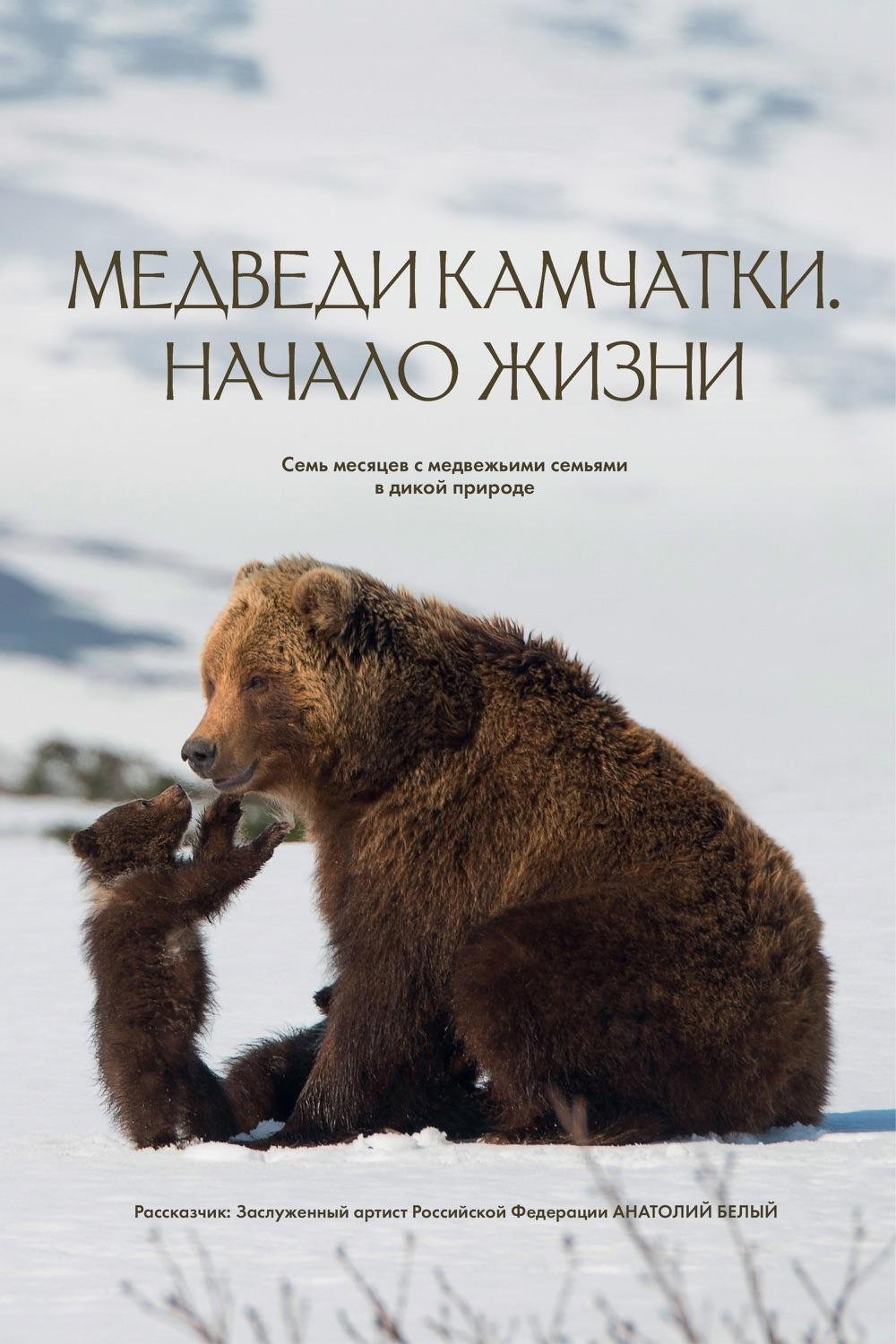 Poster de Медведи Камчатки. Начало жизни