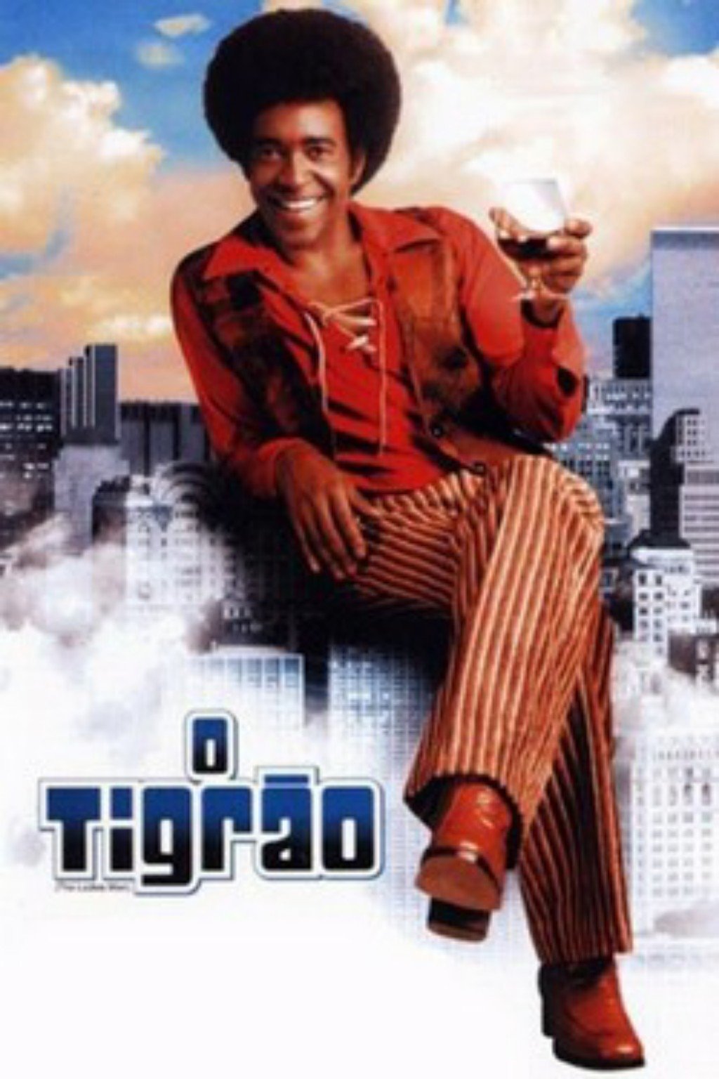 Poster de O Tigrão