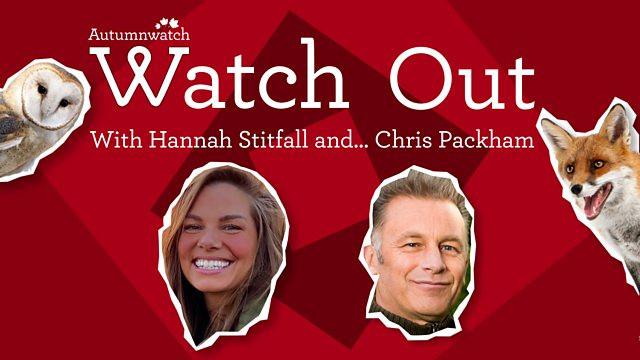 Watch Out with Hannah Stitfall and Chris Packham