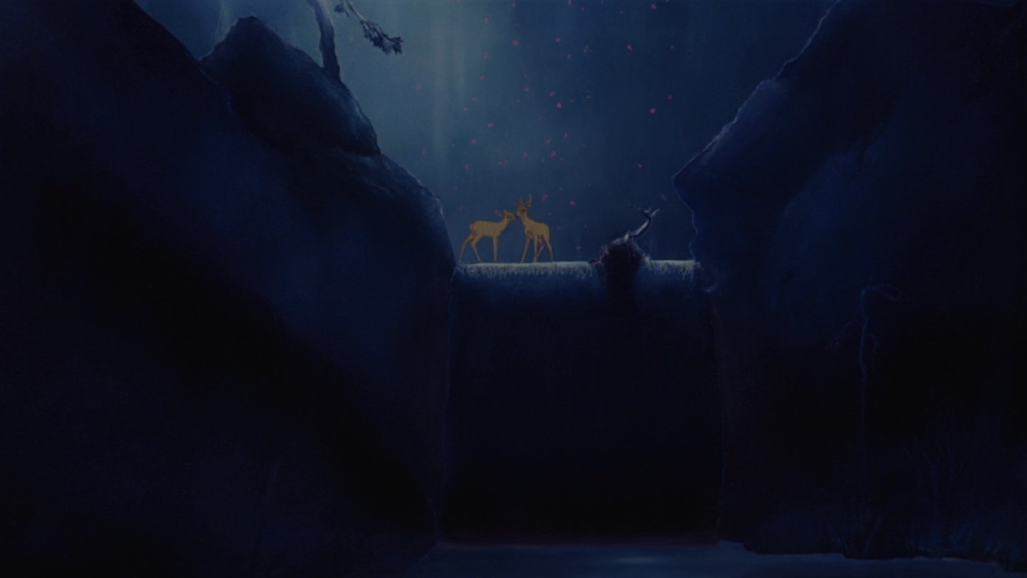 backdrops