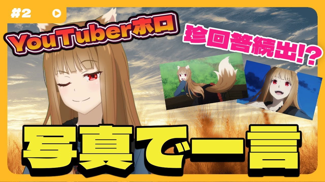 [Spice and Wolf] "Wise Wolf Holo's Watch Channel" #2 "One word with a photo" - unexpected and unusual response!?