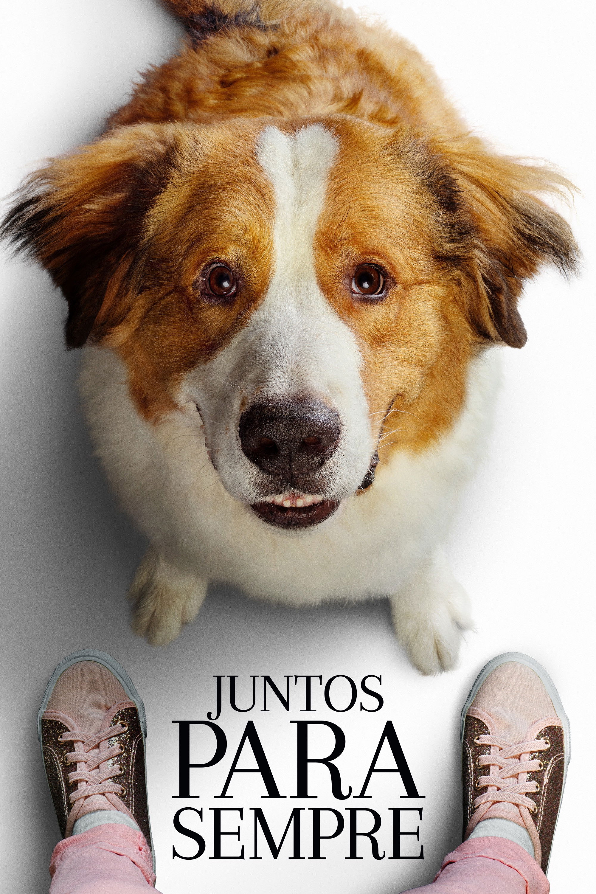 Poster de Juntos para Sempre