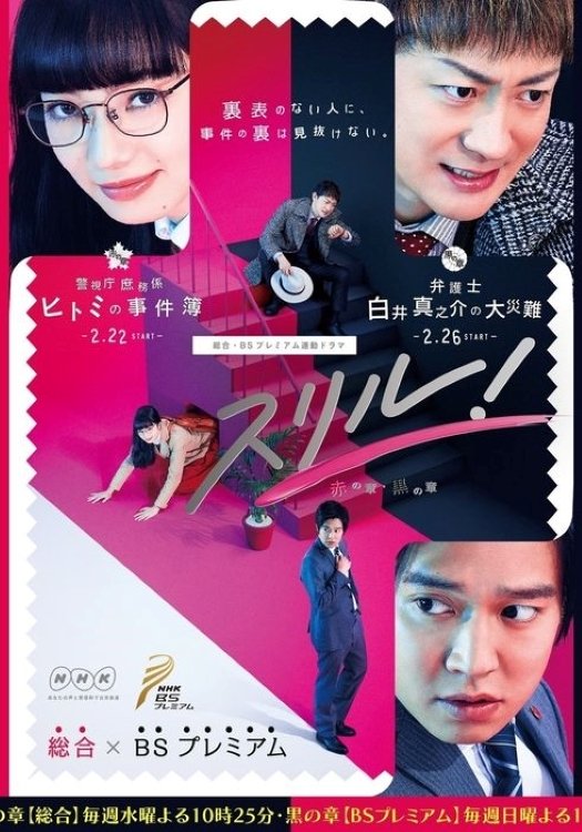 Poster de 黒の章~弁護士・白井真之介の大災難