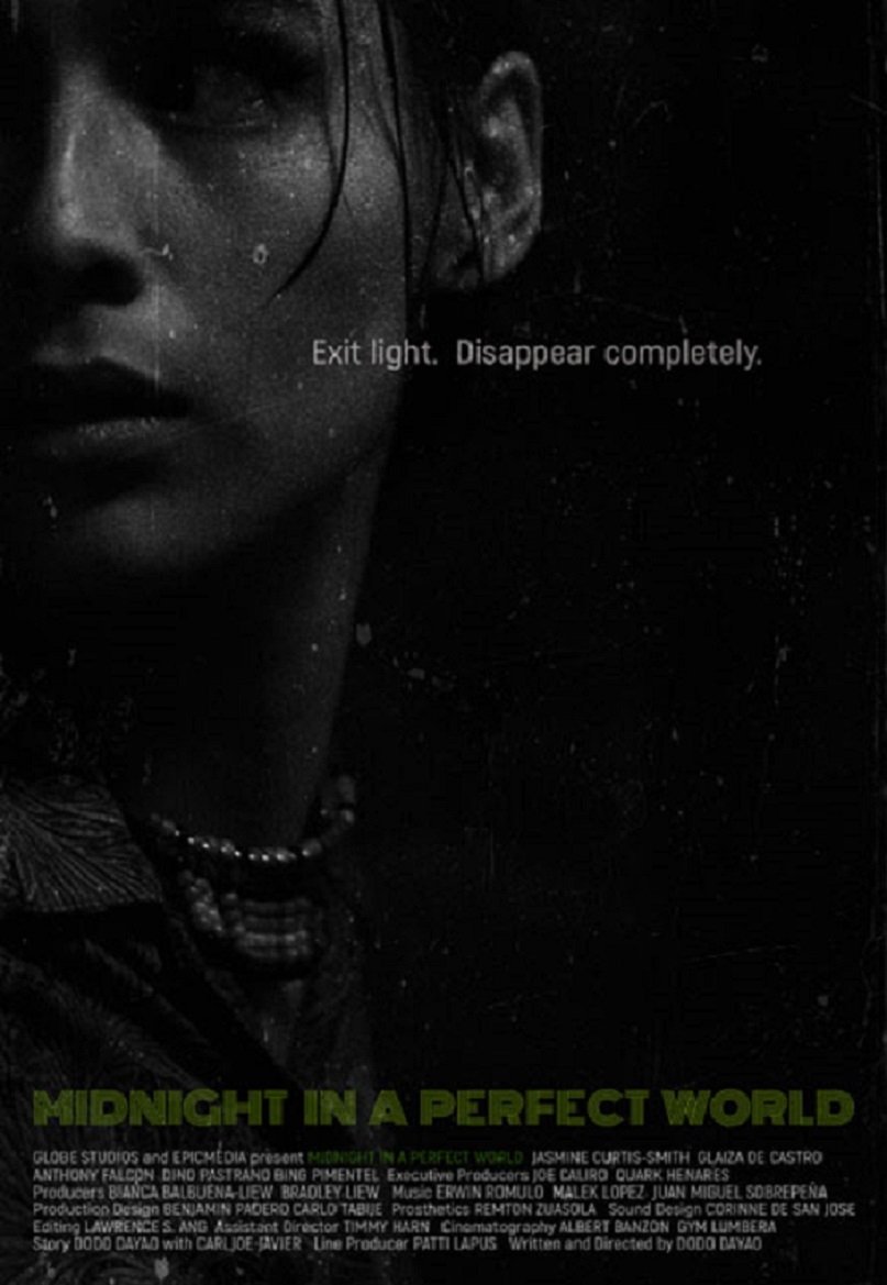 Poster de Midnight in a Perfect World