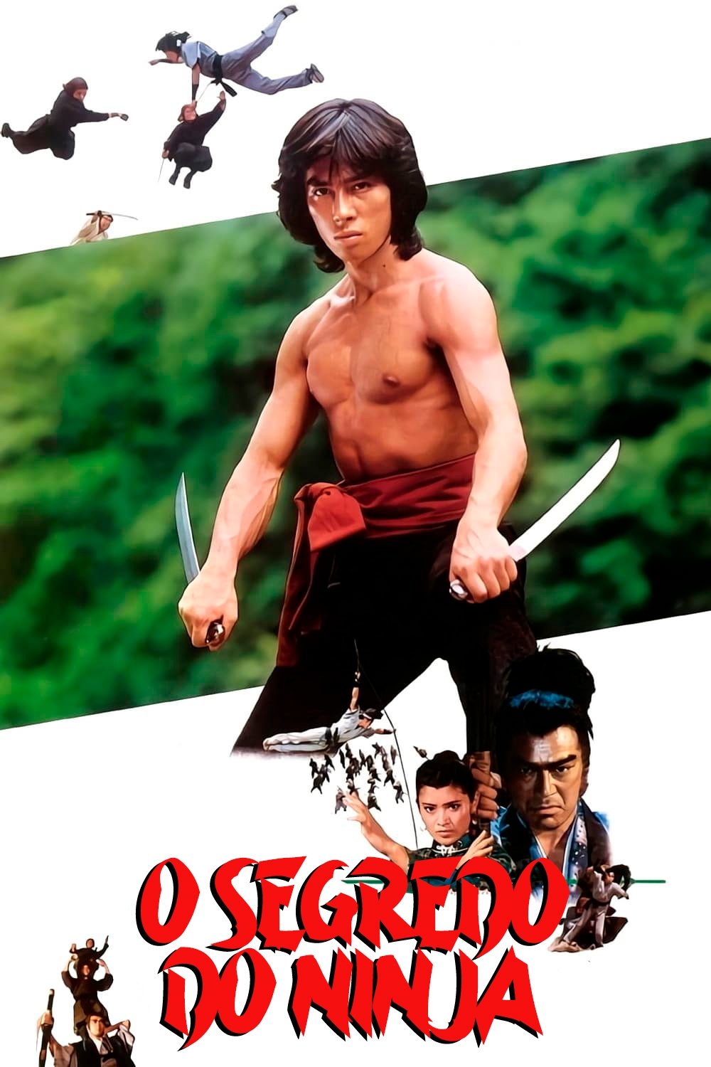 Poster de O Segredo do Ninja