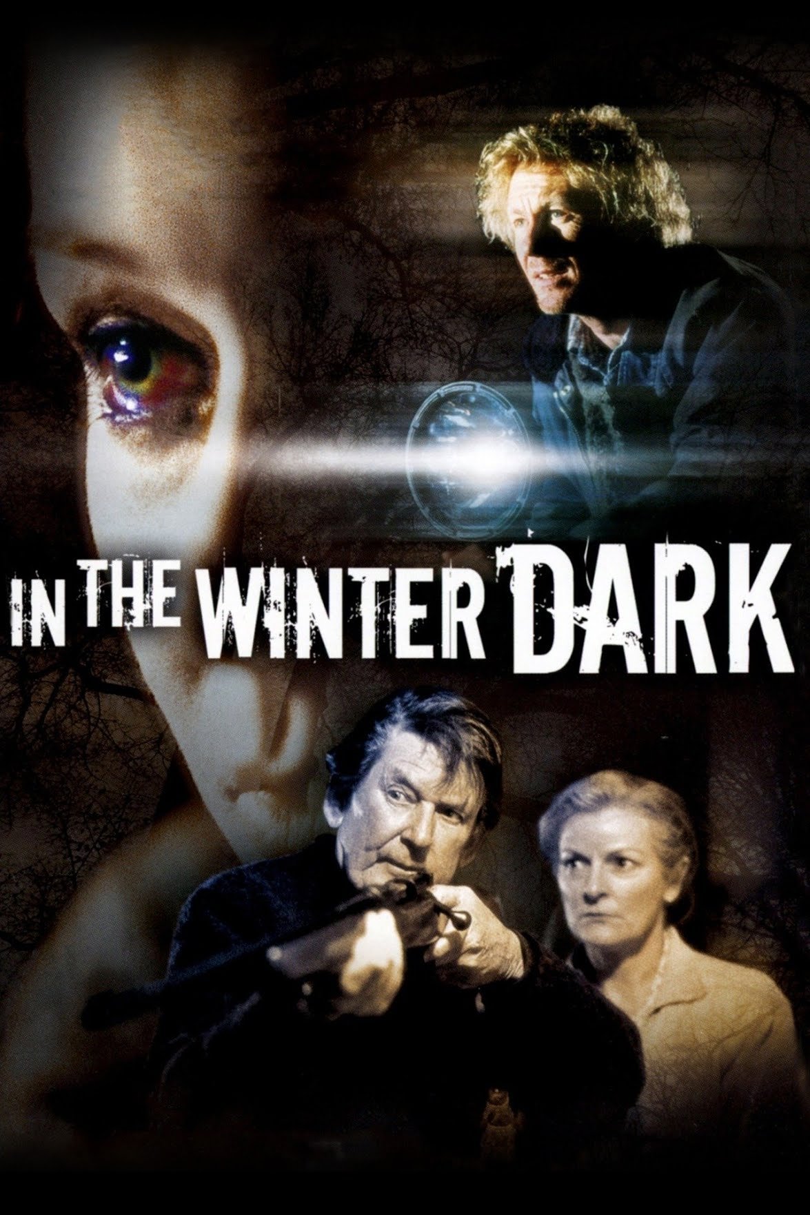 Poster de In the Winter Dark