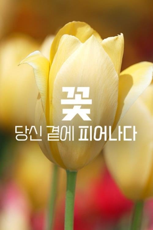 Poster de 꽃, 당신 곁에 피어나다
