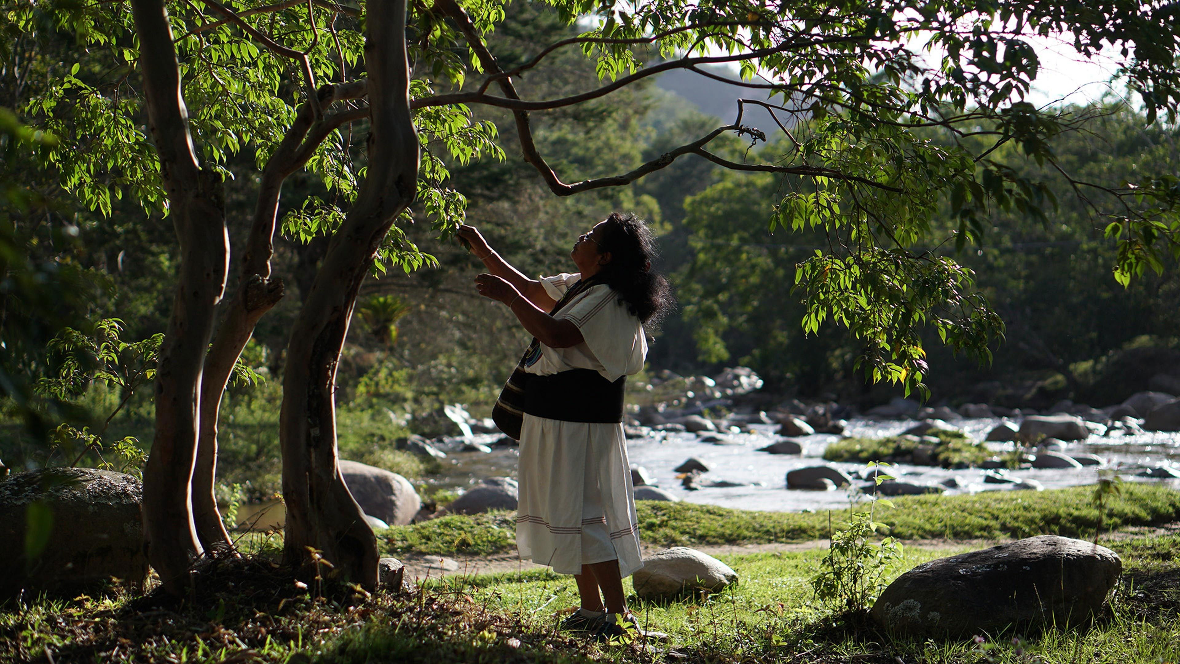 The Heart of the World