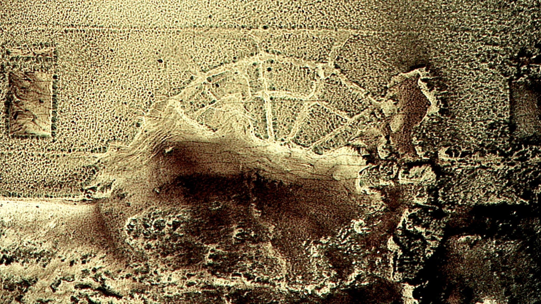 The Emblazoned Apparitions