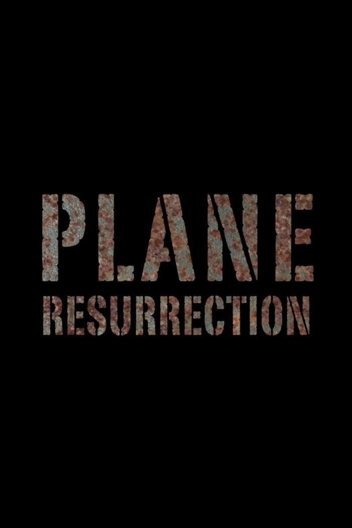 Poster de Plane Resurrection