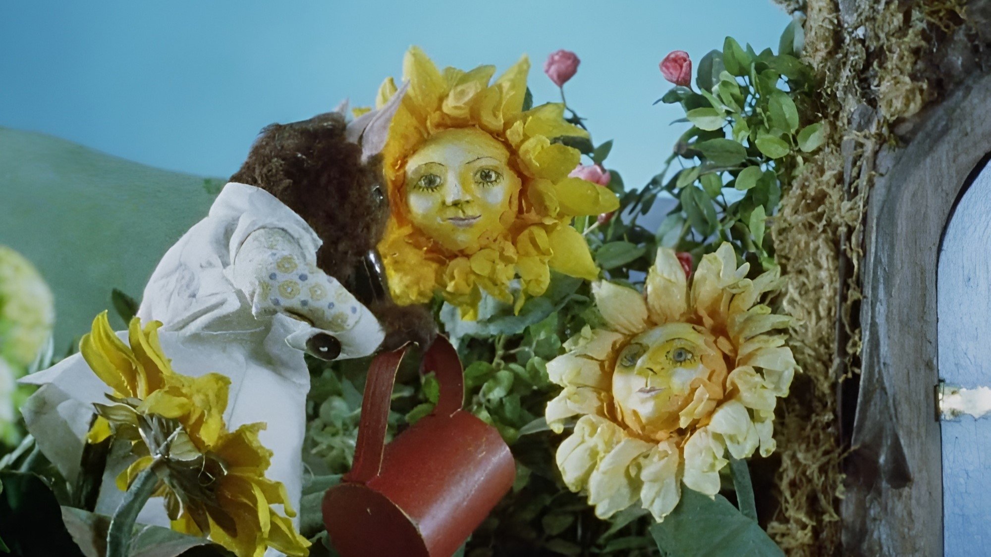 Backdrop image