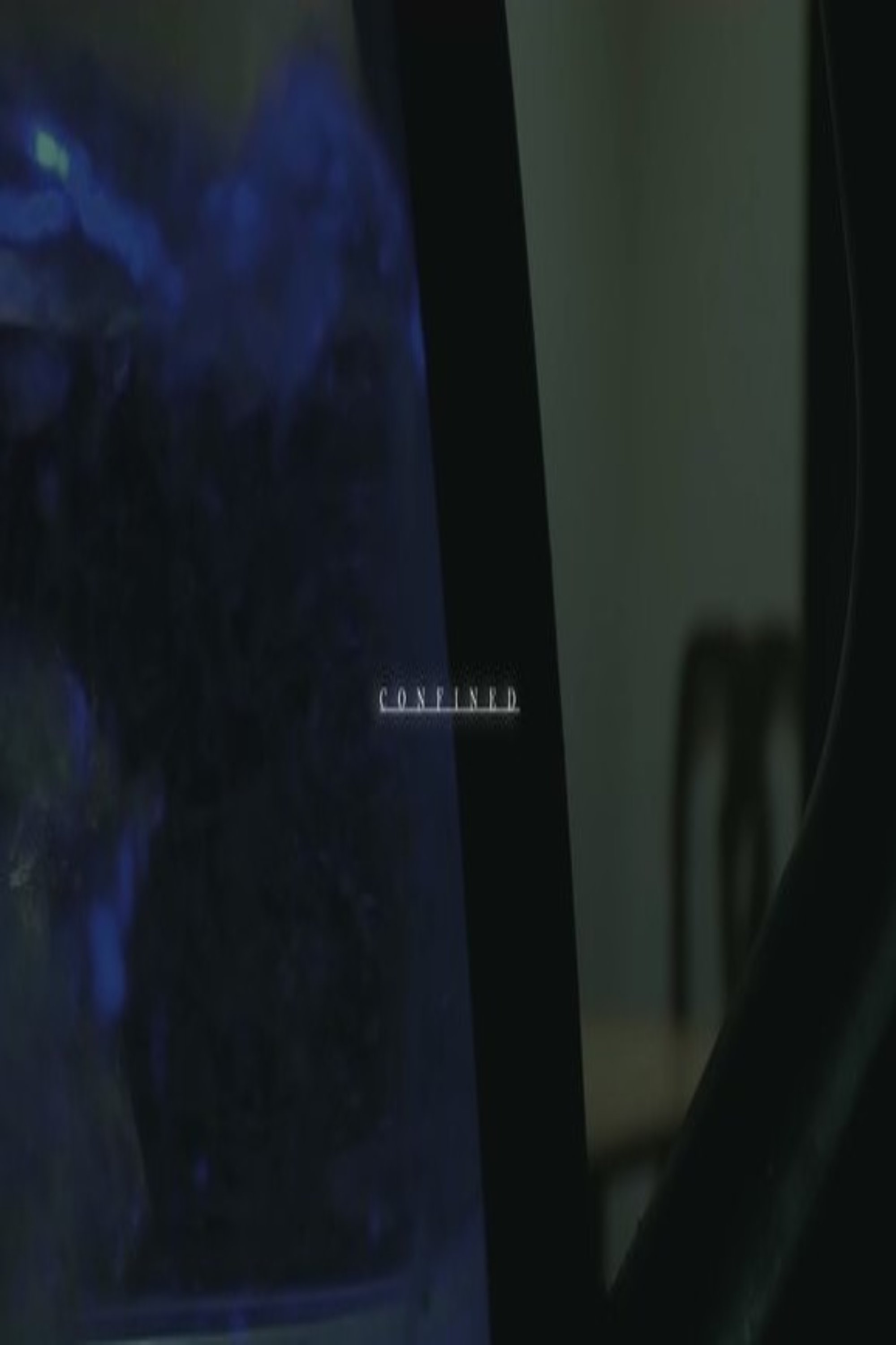 Poster for Confined