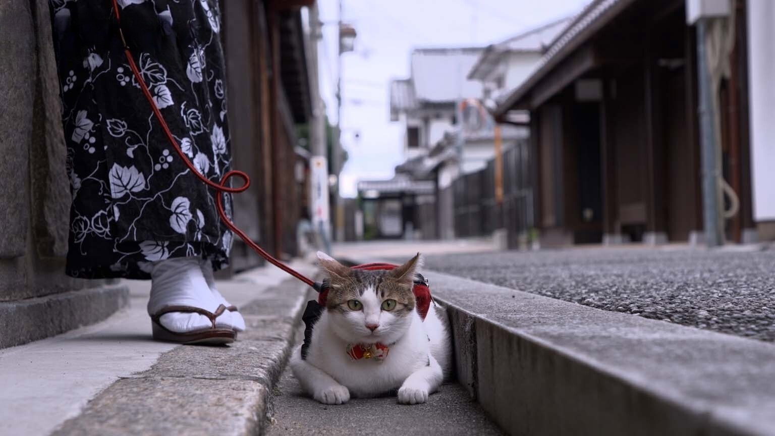 Osaka: Steeped in Tradition