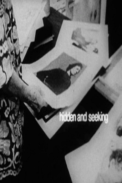 Poster de Hidden and Seeking