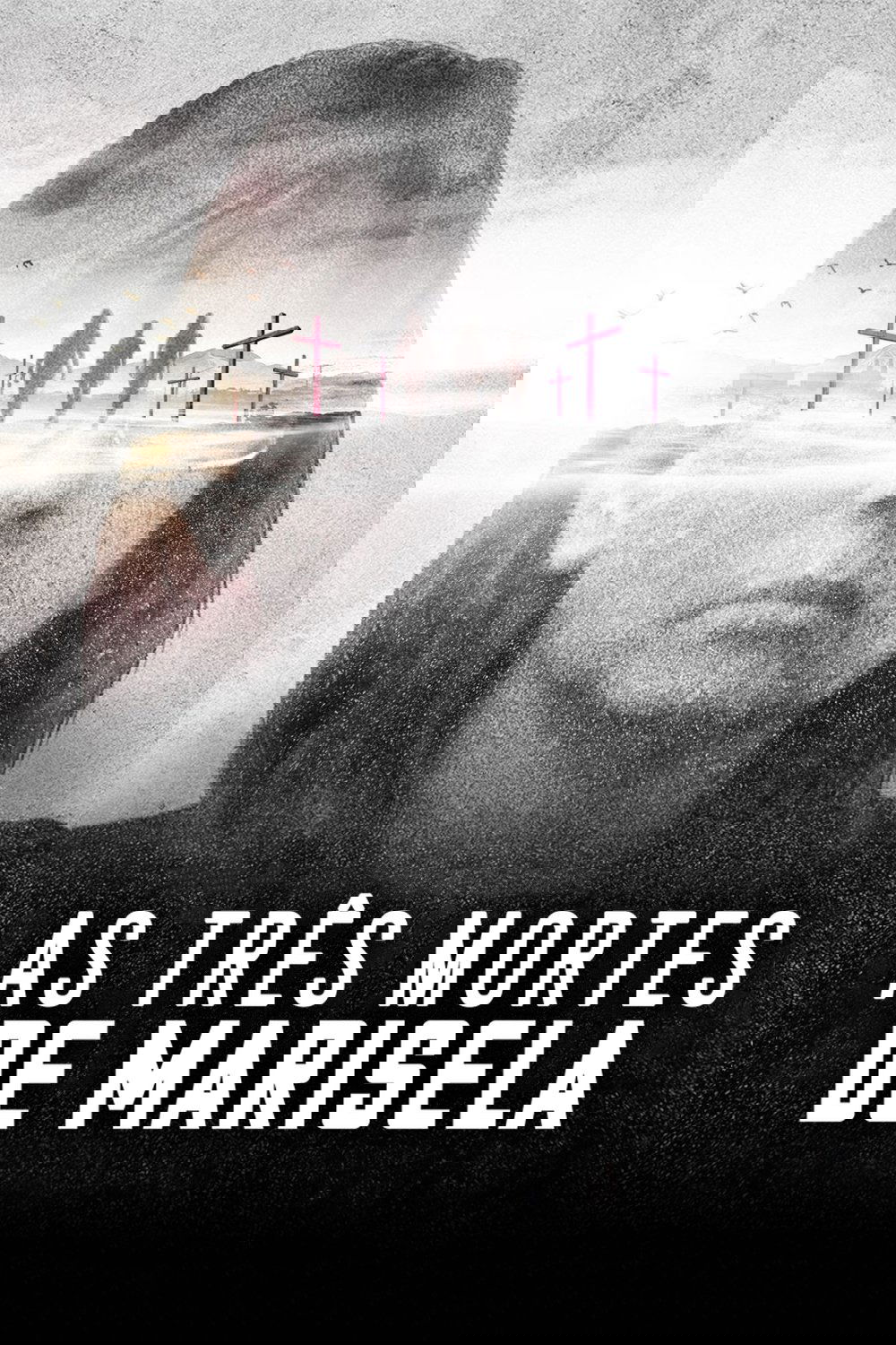 Poster de As Três Mortes de Marisela