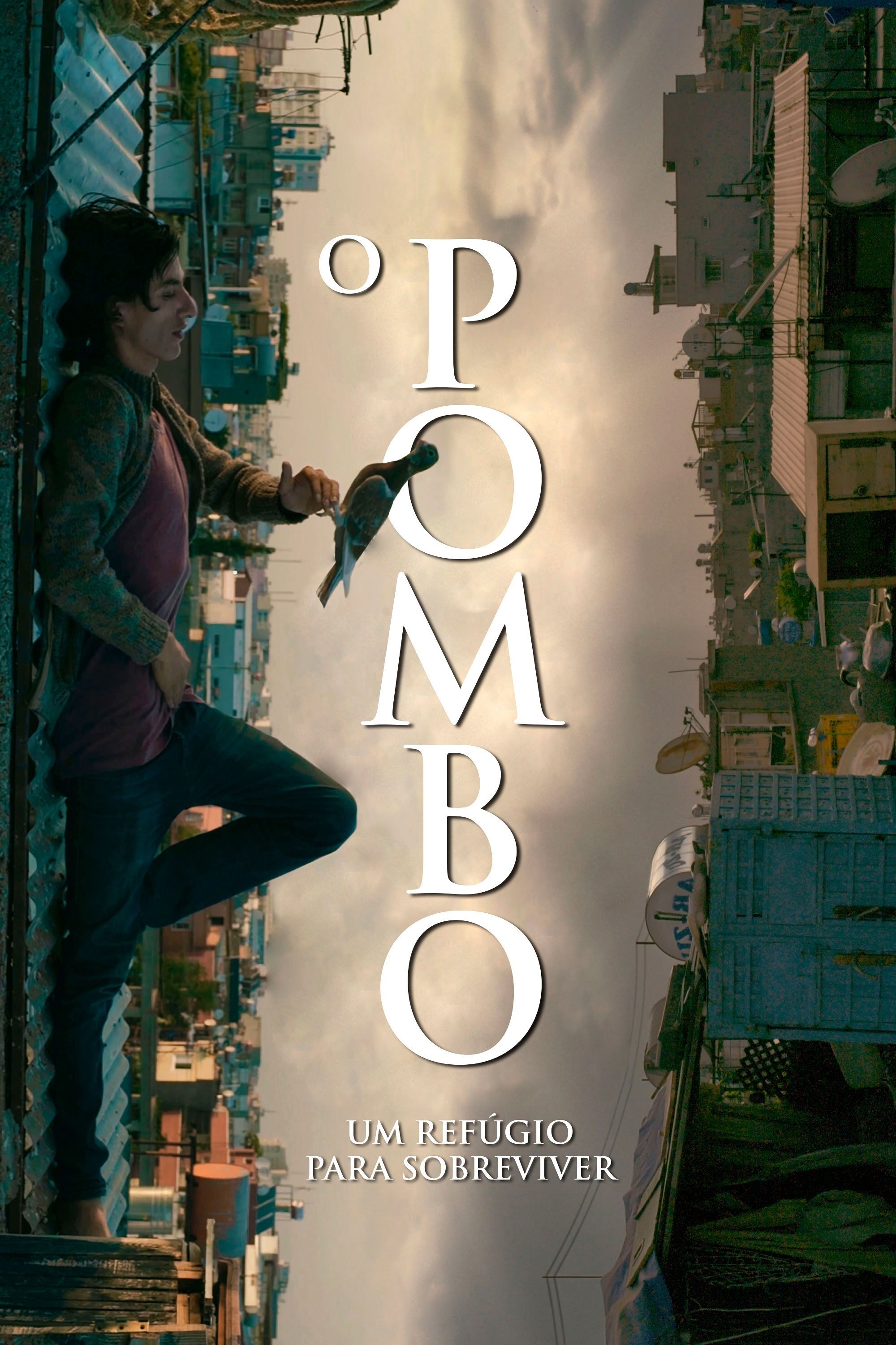 Poster de O Pombo - Um Refúgio para Sobreviver